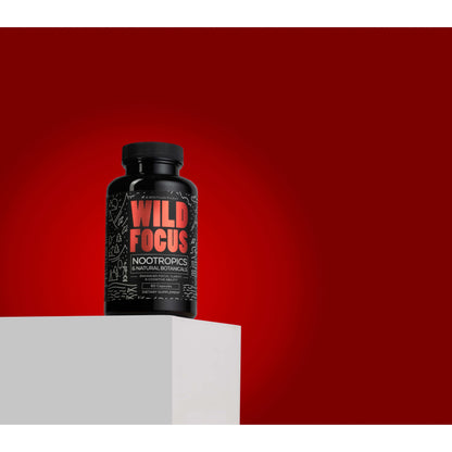 Wholesale Case of 12 - Wild Focus Nootropic Blend