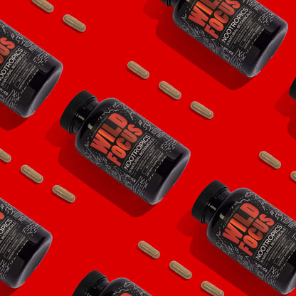 Wholesale Case of 12 - Wild Focus Nootropic Blend