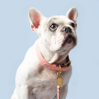 Rosè Collar