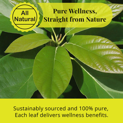 Akshit Premium Dried Avocado Leaves, Hojas De Aguacate - 2.6 oz