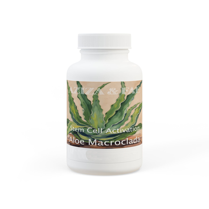 Aloe Macroclada Stem Cell Activation Capsules and Powder