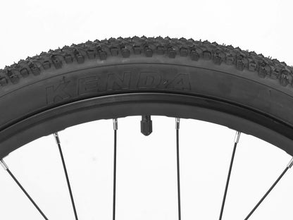 Darwin IV 24-Inch Kids Bike
