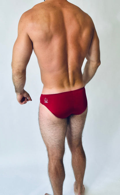 FAST EDDIE SWIM BRIEF