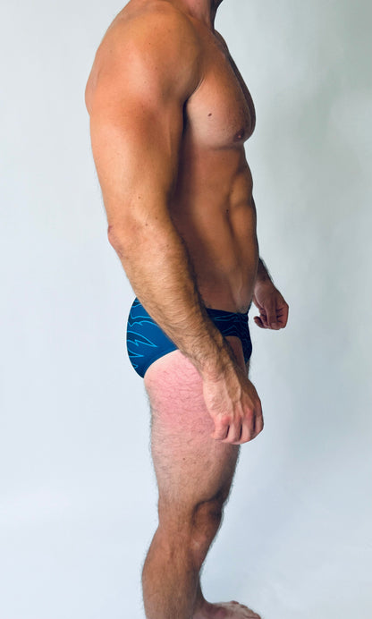 ATLANTIS BRIEF