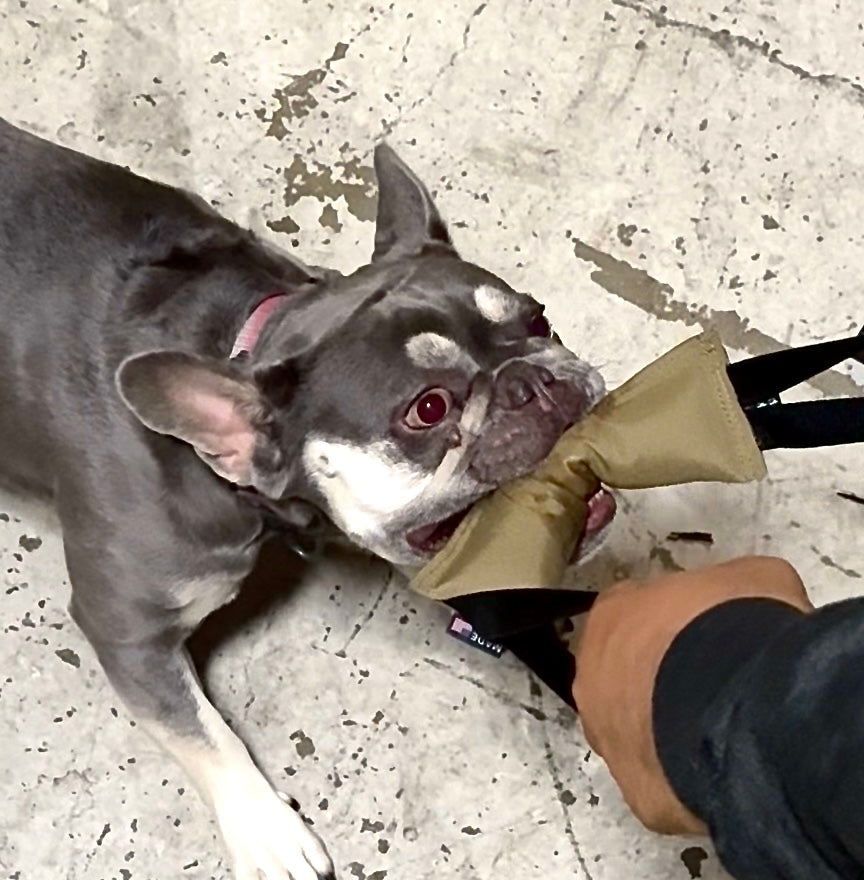 K9R - Kiloniner TUG-N-TRAIN Tug Toy