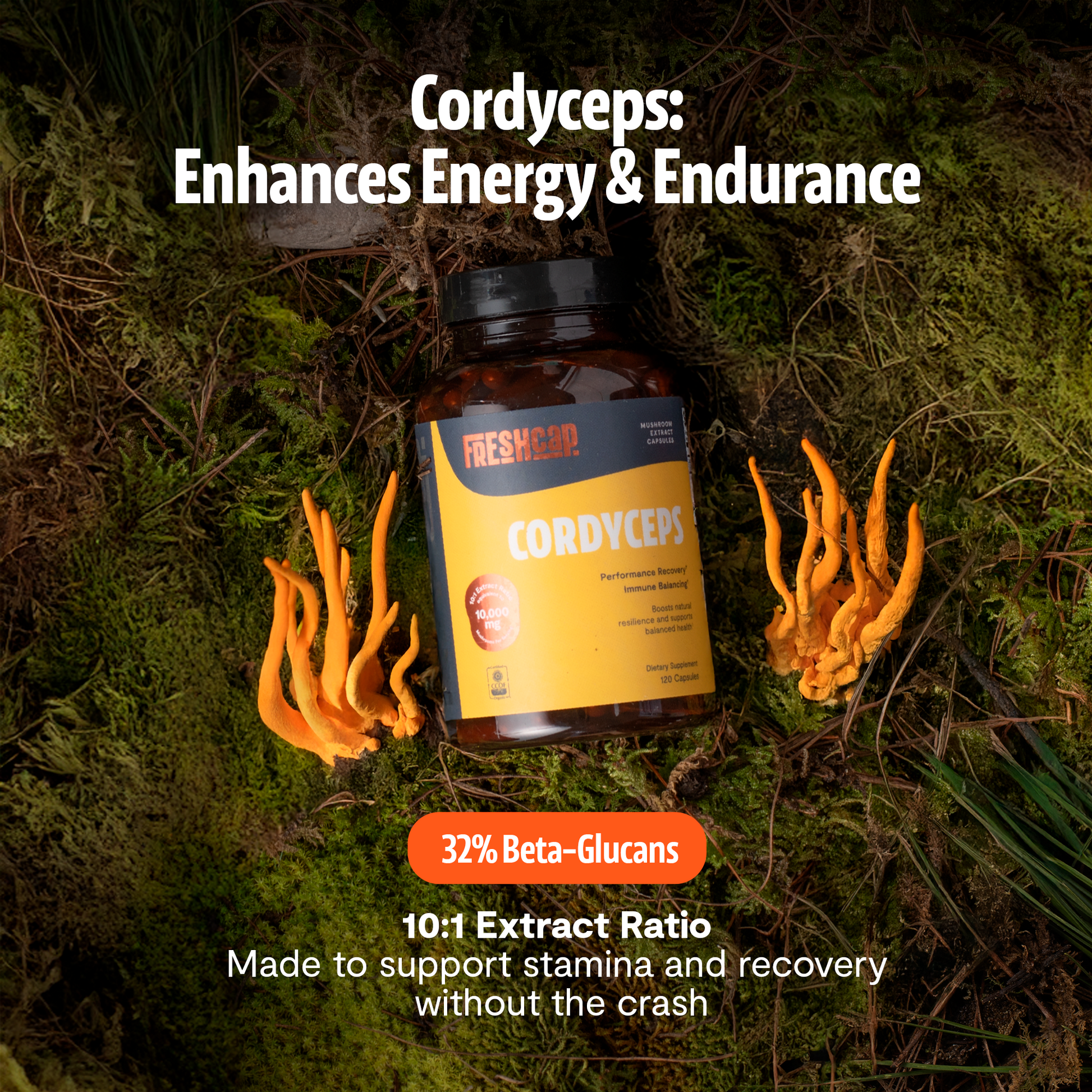 Cordyceps Mushroom Extract Capsules - Triathlete Store