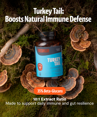 Turkey Tail Mushroom Extract Capsules - Triathlete Store