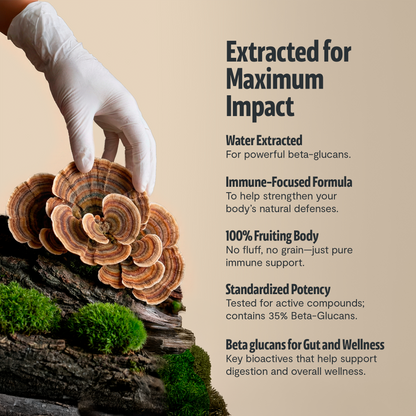 Turkey Tail Mushroom Extract Capsules - Triathlete Store