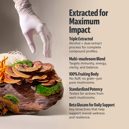 Ultimate Mushroom Complex Powder - Triathlete Store