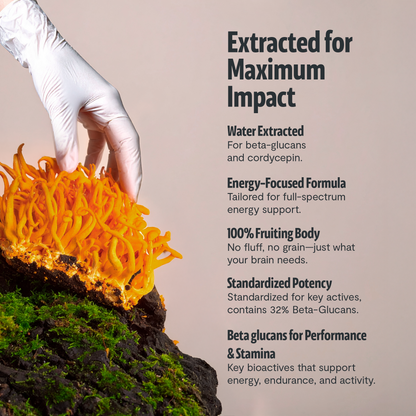 Cordyceps Mushroom Extract Capsules - Triathlete Store