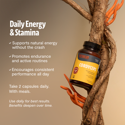 Cordyceps Mushroom Extract Capsules - Triathlete Store