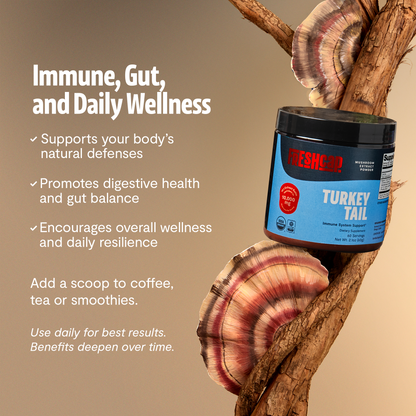 Turkey Tail Mushroom Extract Powder - Triathlete Store