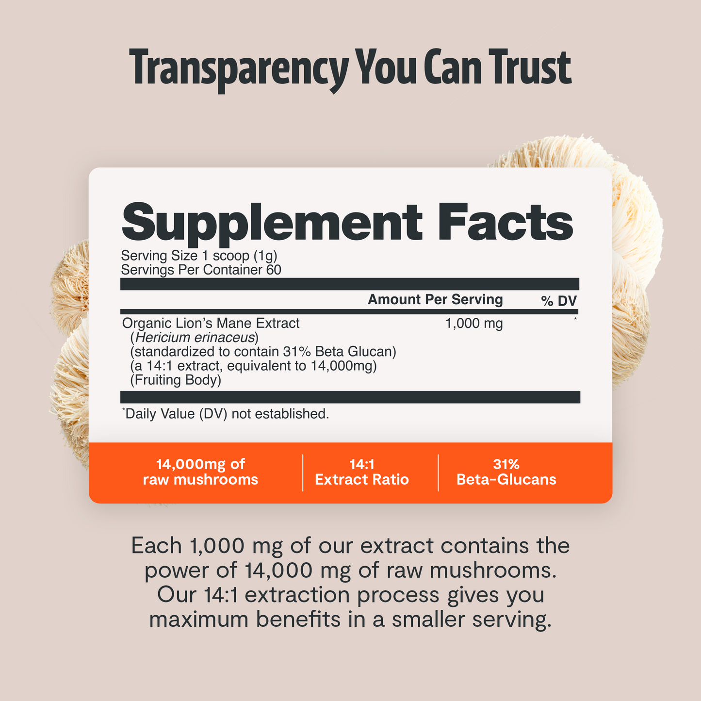 Lion's Mane Mushroom Extract Powder - Triathlete Store