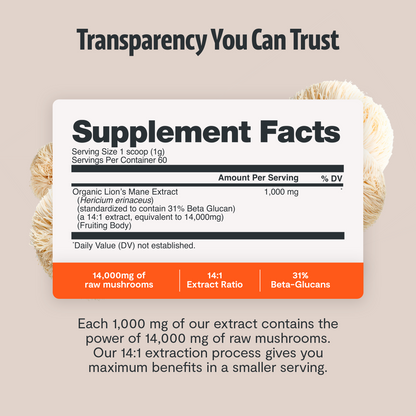 Lion's Mane Mushroom Extract Powder - Triathlete Store