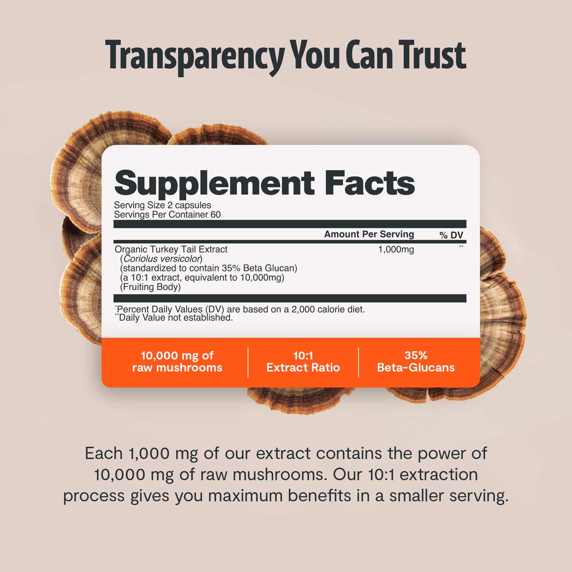 Turkey Tail Mushroom Extract Capsules - Triathlete Store