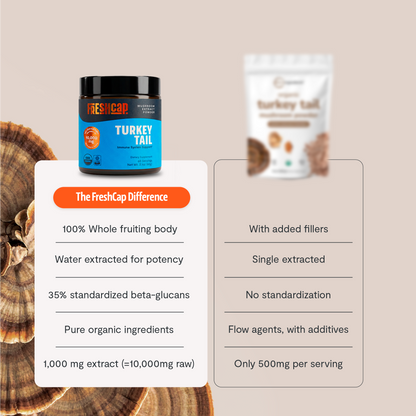 Turkey Tail Mushroom Extract Powder - Triathlete Store