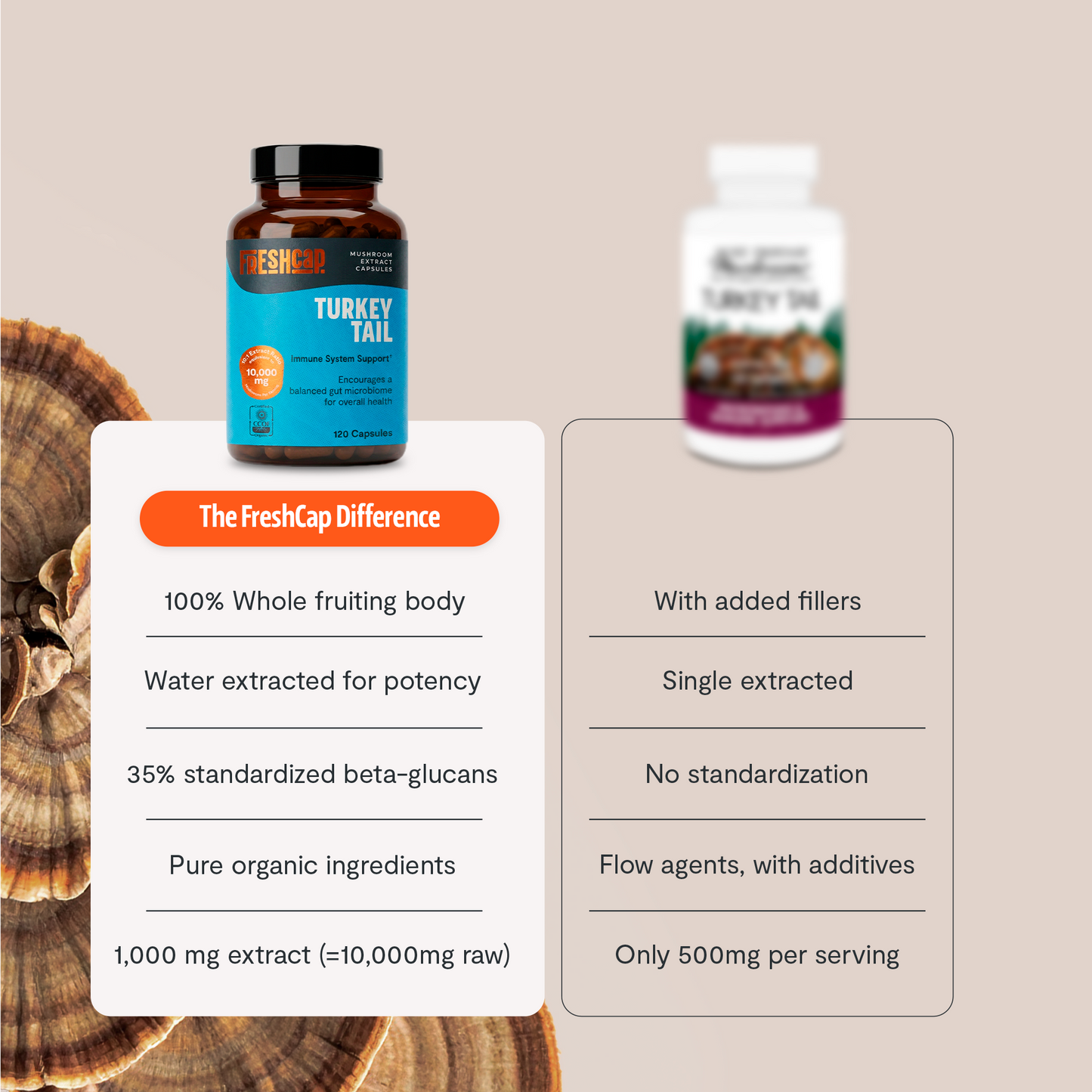 Turkey Tail Mushroom Extract Capsules - Triathlete Store