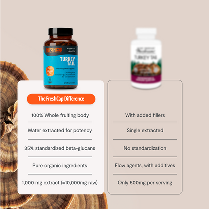 Turkey Tail Mushroom Extract Capsules - Triathlete Store