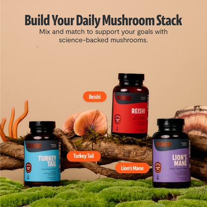 Turkey Tail Mushroom Extract Capsules - Triathlete Store
