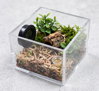 Mini Round Digital Terrarium Thermometer and Hygrometer