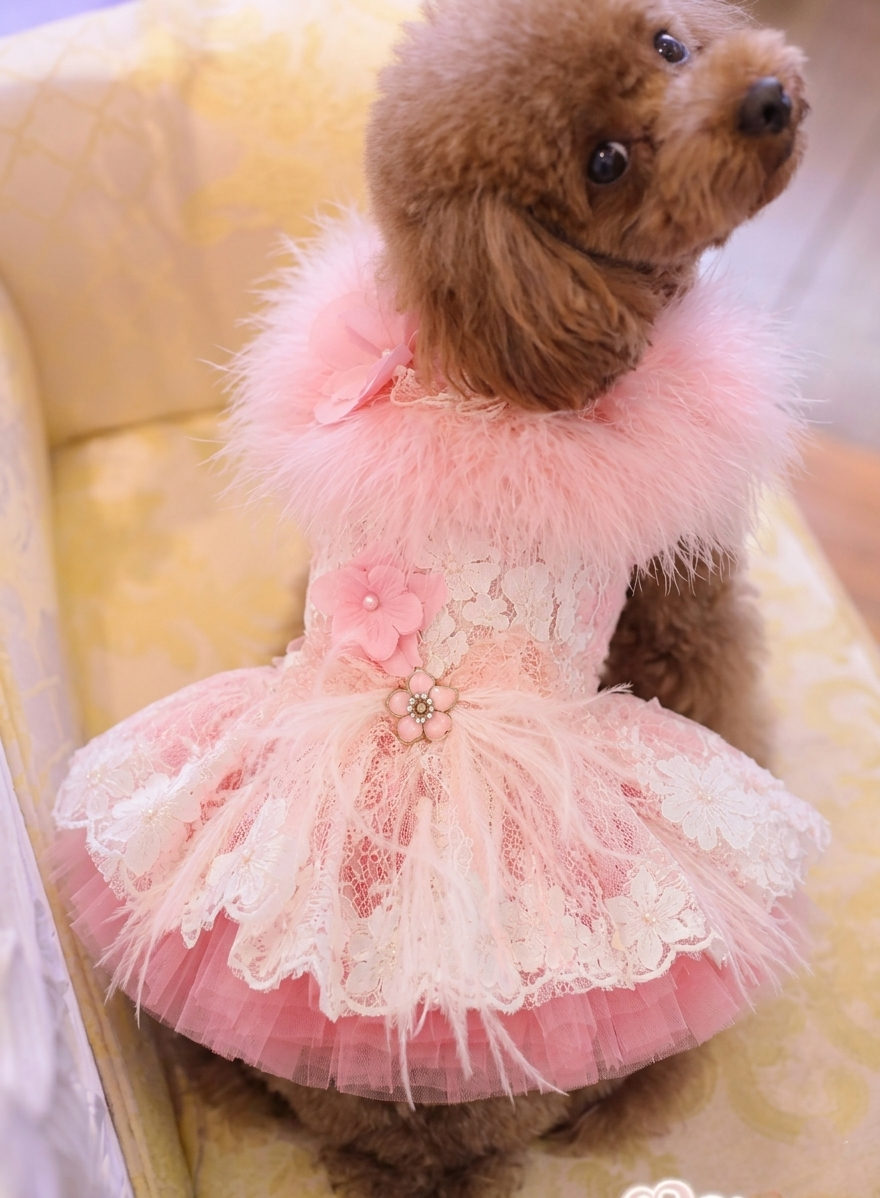 Unique Pet Feather Tutu Dog Lace Dress Princess Dress Pink Swan for Wedding Party Birthday Festival One Piece