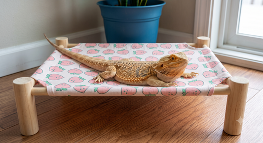 Elevated Reptile Cot & Hammock Lounger