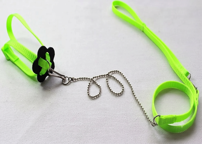 Adjustable Reptile Leash & Harness Kit