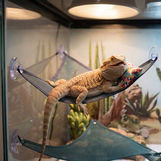 2-Pack Reptile Mesh Lounger Hammock Set