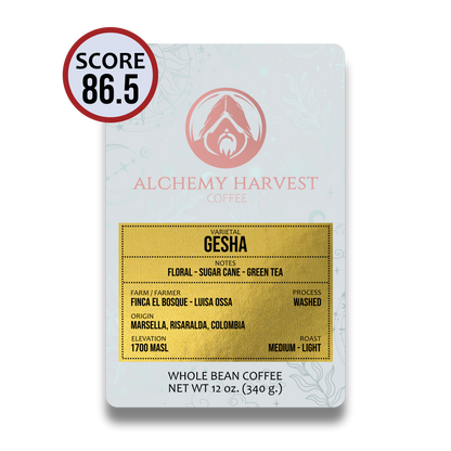 Gesha - Washed