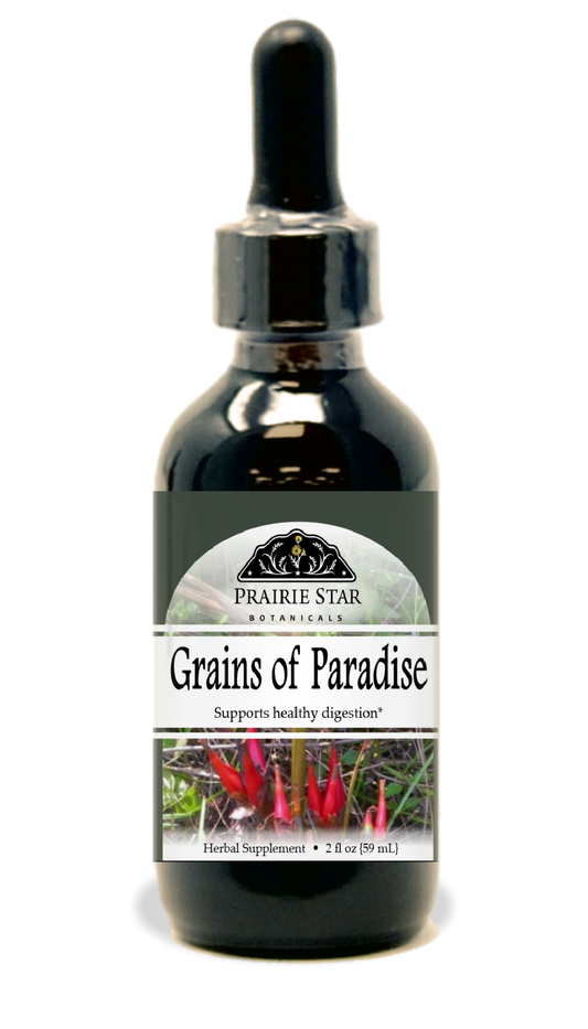 Grains of Paradise