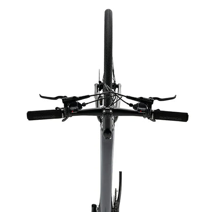 LynxFox - Carbon Fiber Road Bike