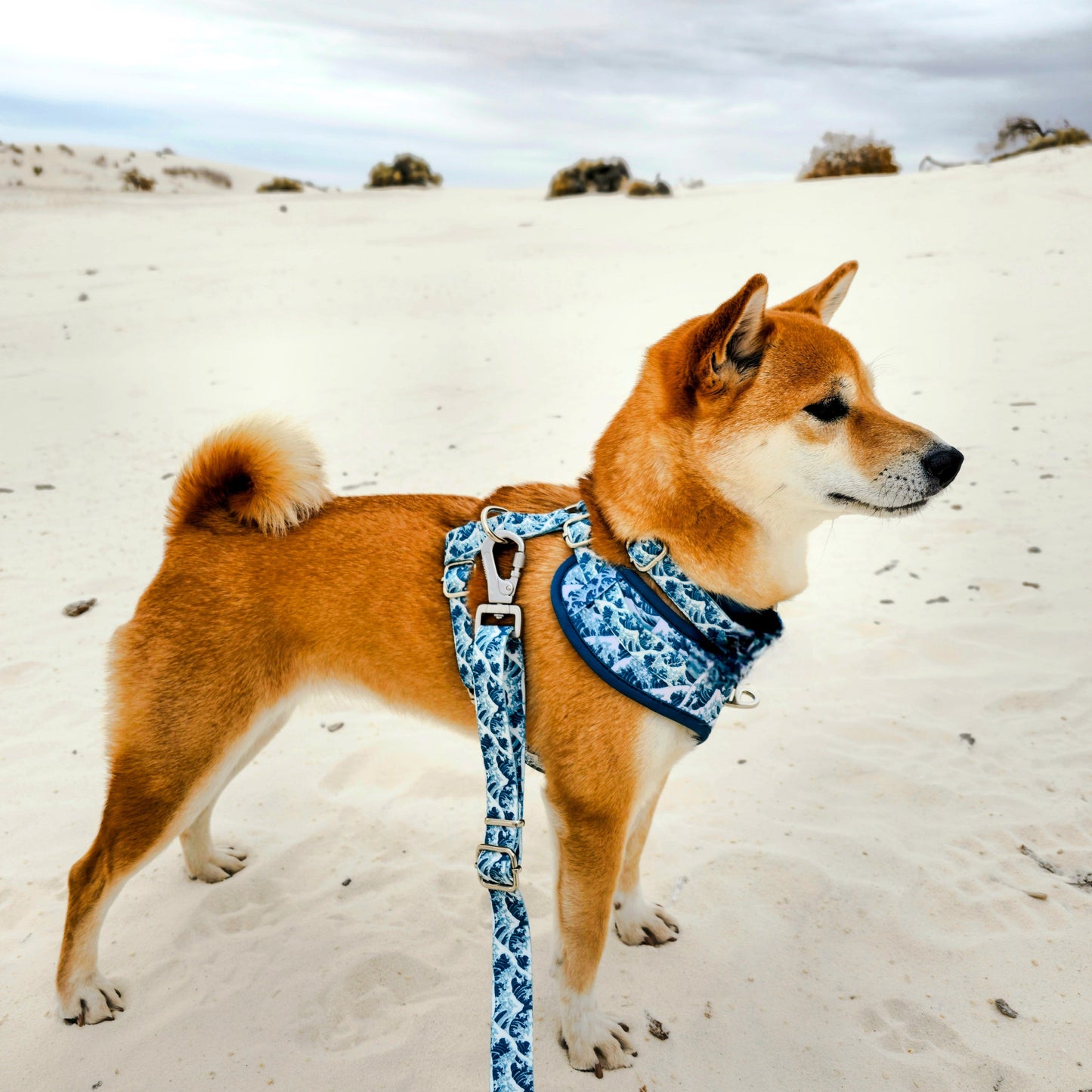 Great Wave Leash