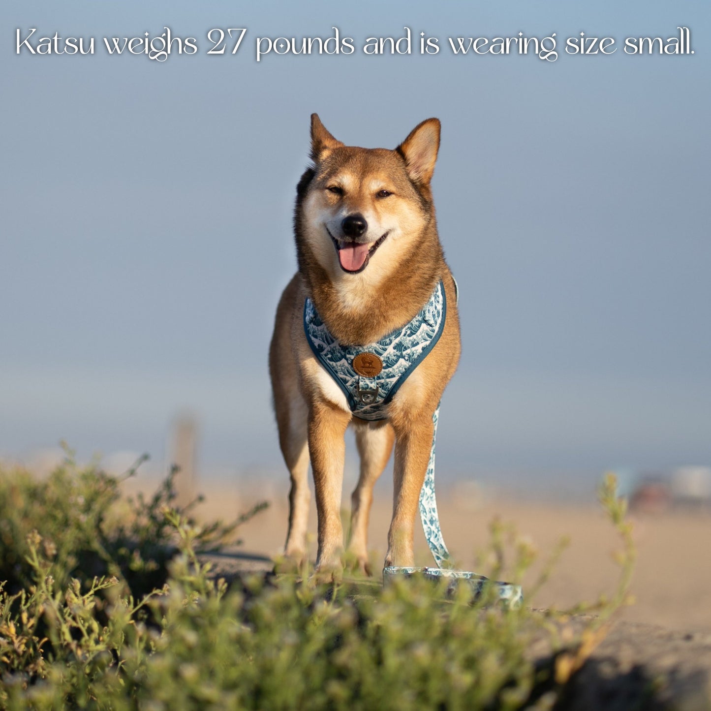 Great Wave Harness