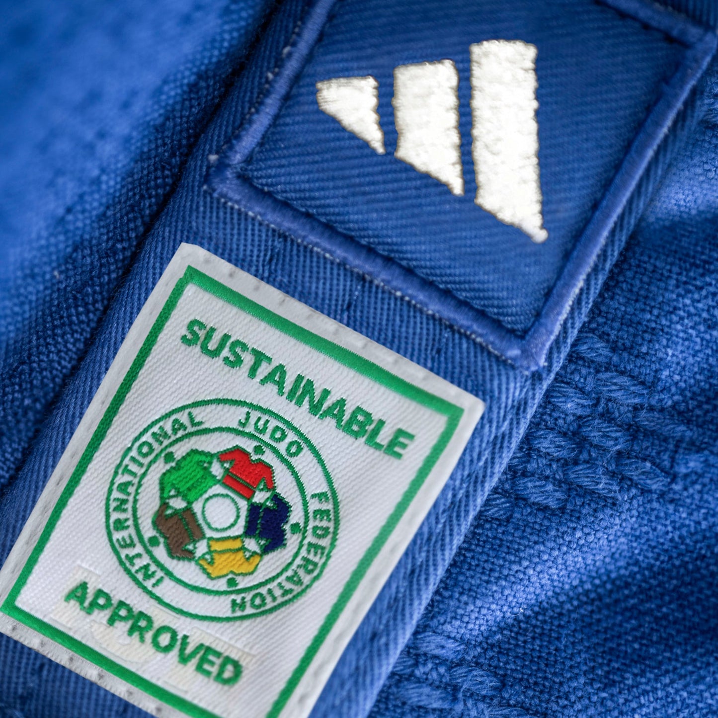 IJF Champion 3 Regular Fit with Gold Logo - Triathlete Store