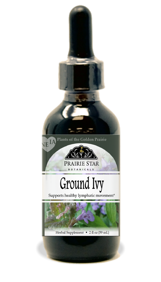 Ground Ivy