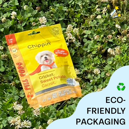 Fish & Cricket Best Seller Bundle