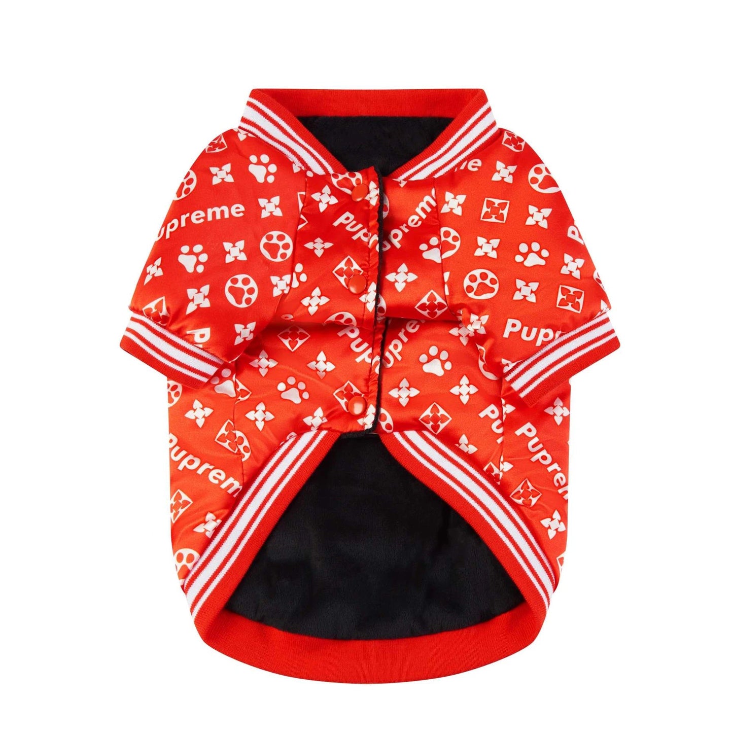 Luxury Bomber Jacket