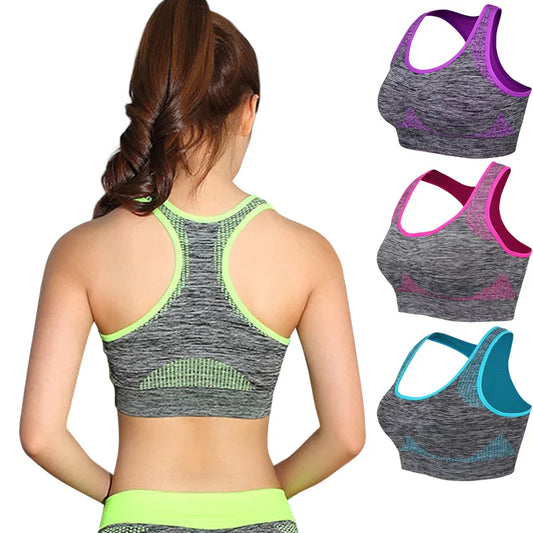 Seamless Quick Dry Sports Bra - Breathable Workout Top