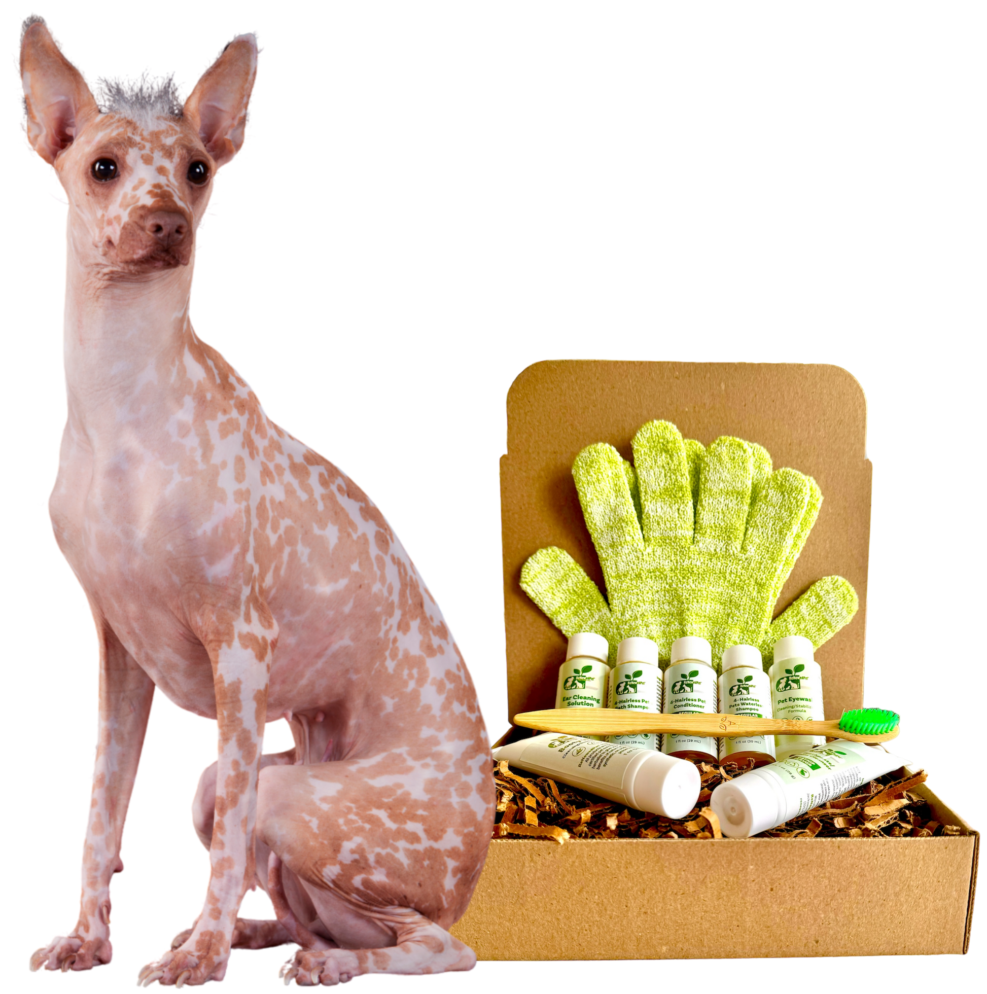 4-HAIRLESS PETS *DOG REGULAR KIT – Triathlete Store