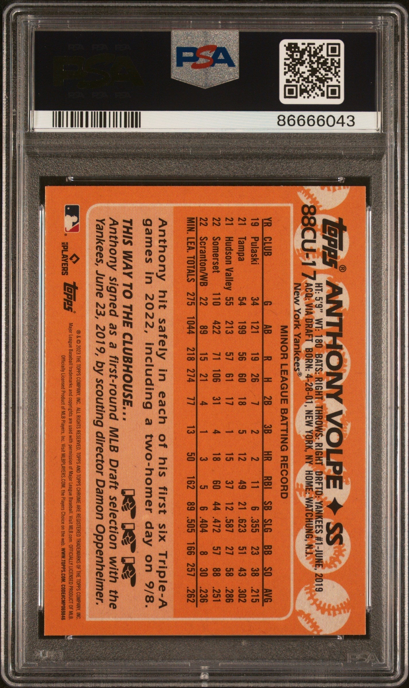 Graded 2023 Topps Chrome Update Anthony Volpe #88CU17 1988 Topps Baseball Rookie RC Baseball Card PSA 10 Gem Mint