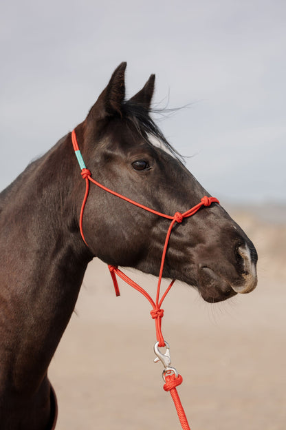 Stiff 4 Knot Training Halter
