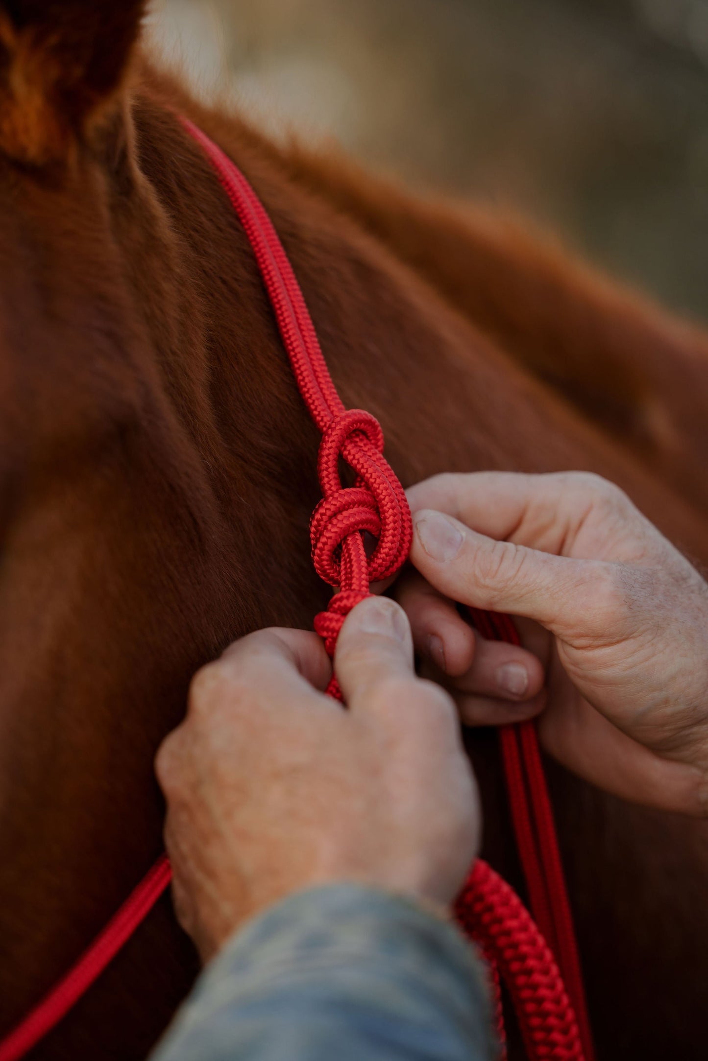 14 Ft Weighted Lead Rope