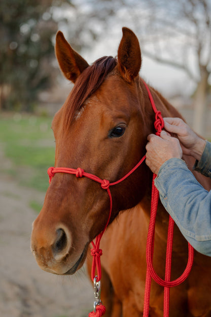 Stiff 4 Knot Training Halter