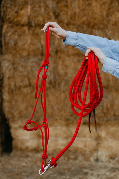 4 Knot Halter and Lead Set
