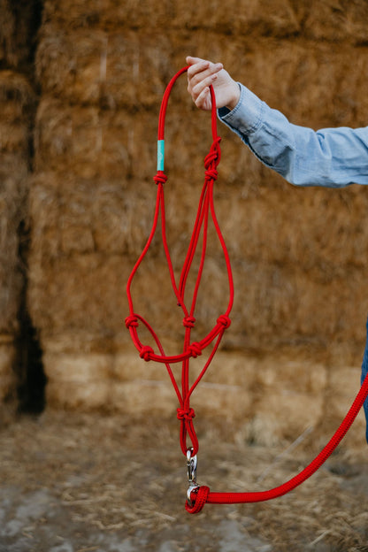 Stiff 4 Knot Training Halter
