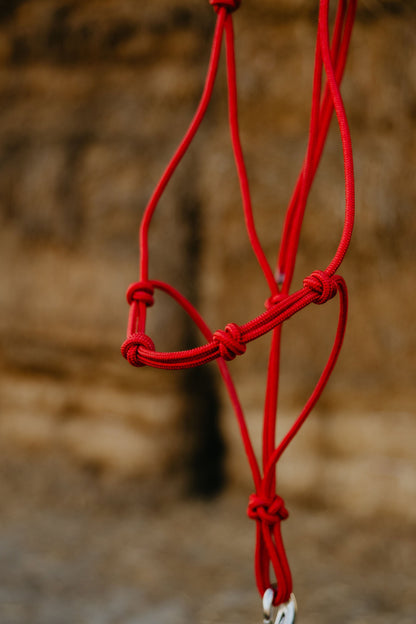 Stiff 4 Knot Training Halter