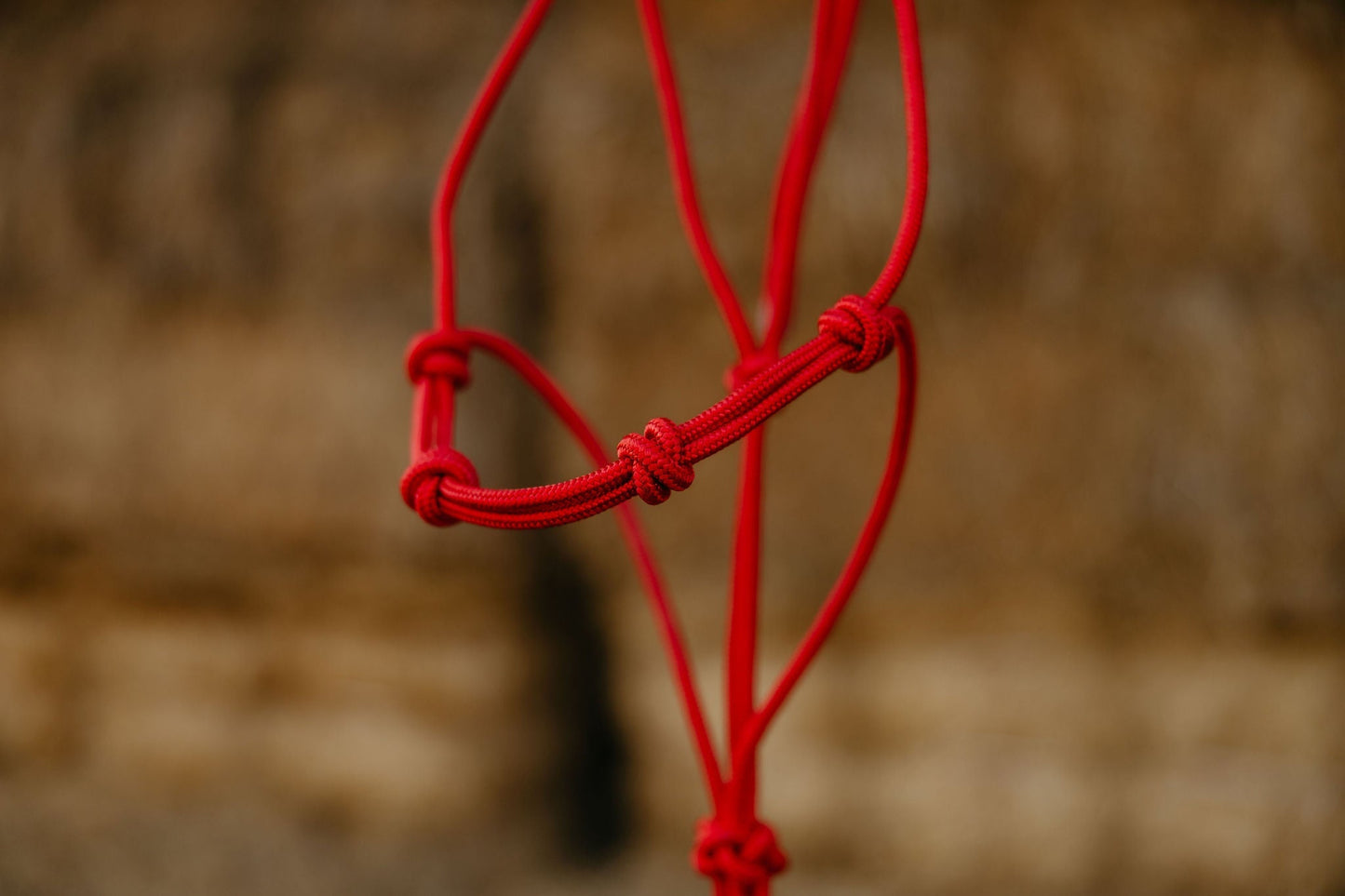 Stiff 4 Knot Training Halter