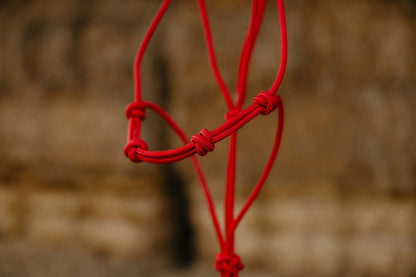 Stiff 4 Knot Training Halter