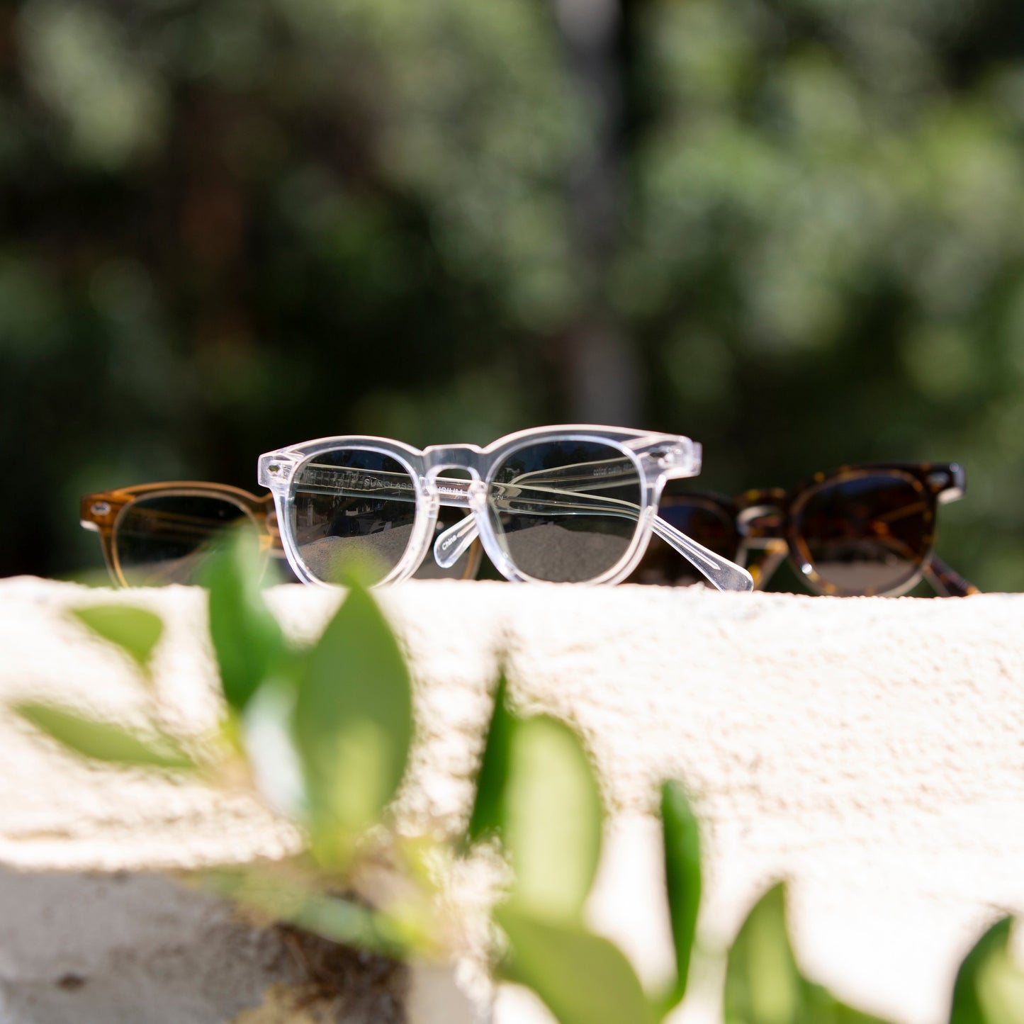 Clear Acetate Polarized Square Sunglass - Benson