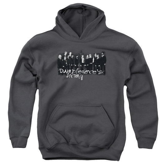 Harry Potter and the Order of Phoenix Da Squad Kids Youth Hoodie Charcoal Officially Licensed